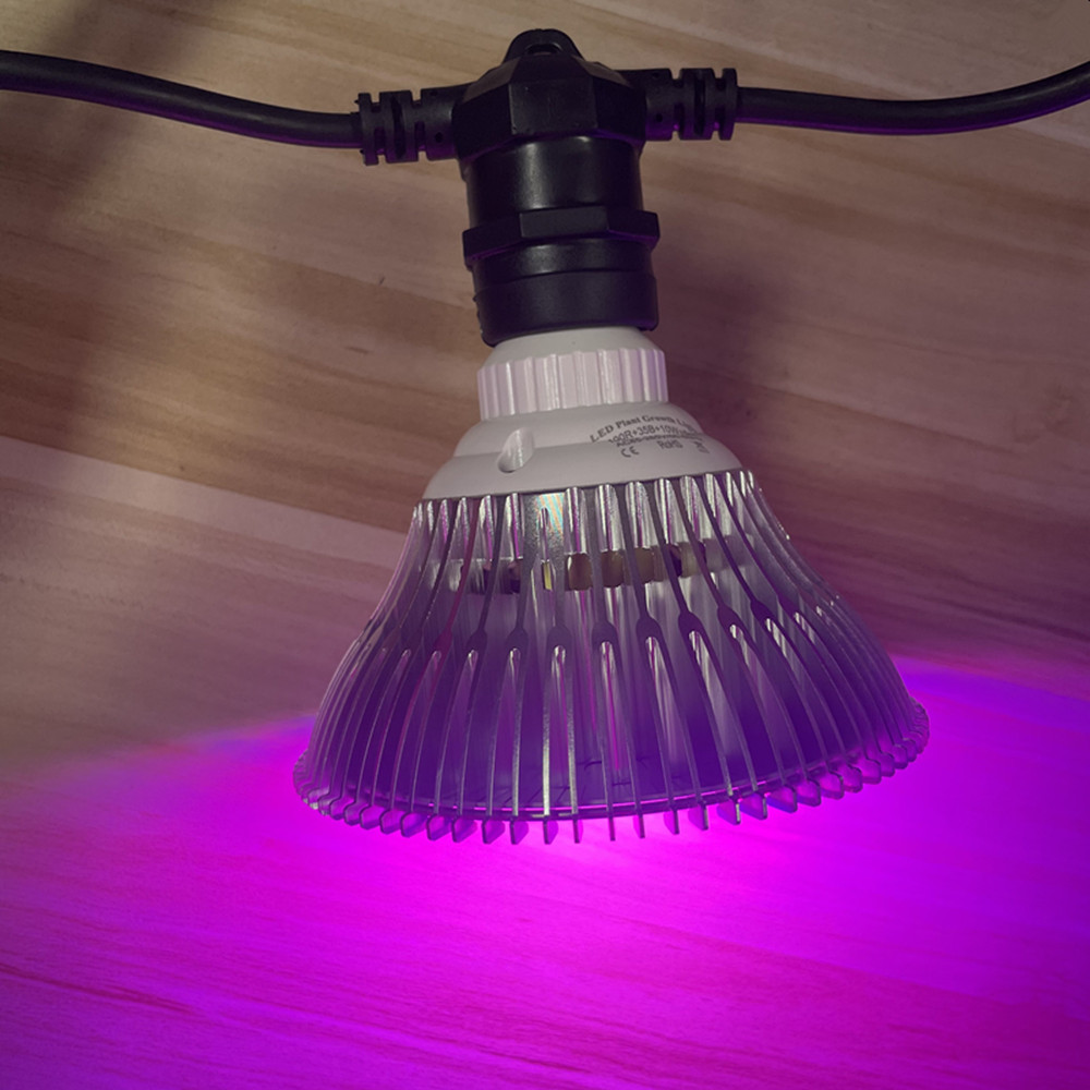 สายไฟ LED ยาว 10 เมตร เกรดเชิง - String Light Outdoor บทวิจารณ์และราคา